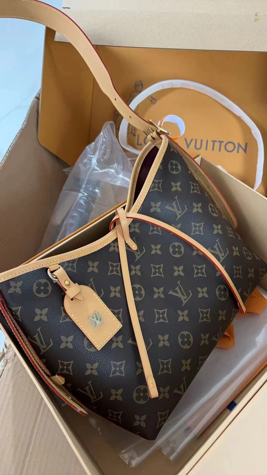Louis Vuitton CarryAll MM M46197 photo review