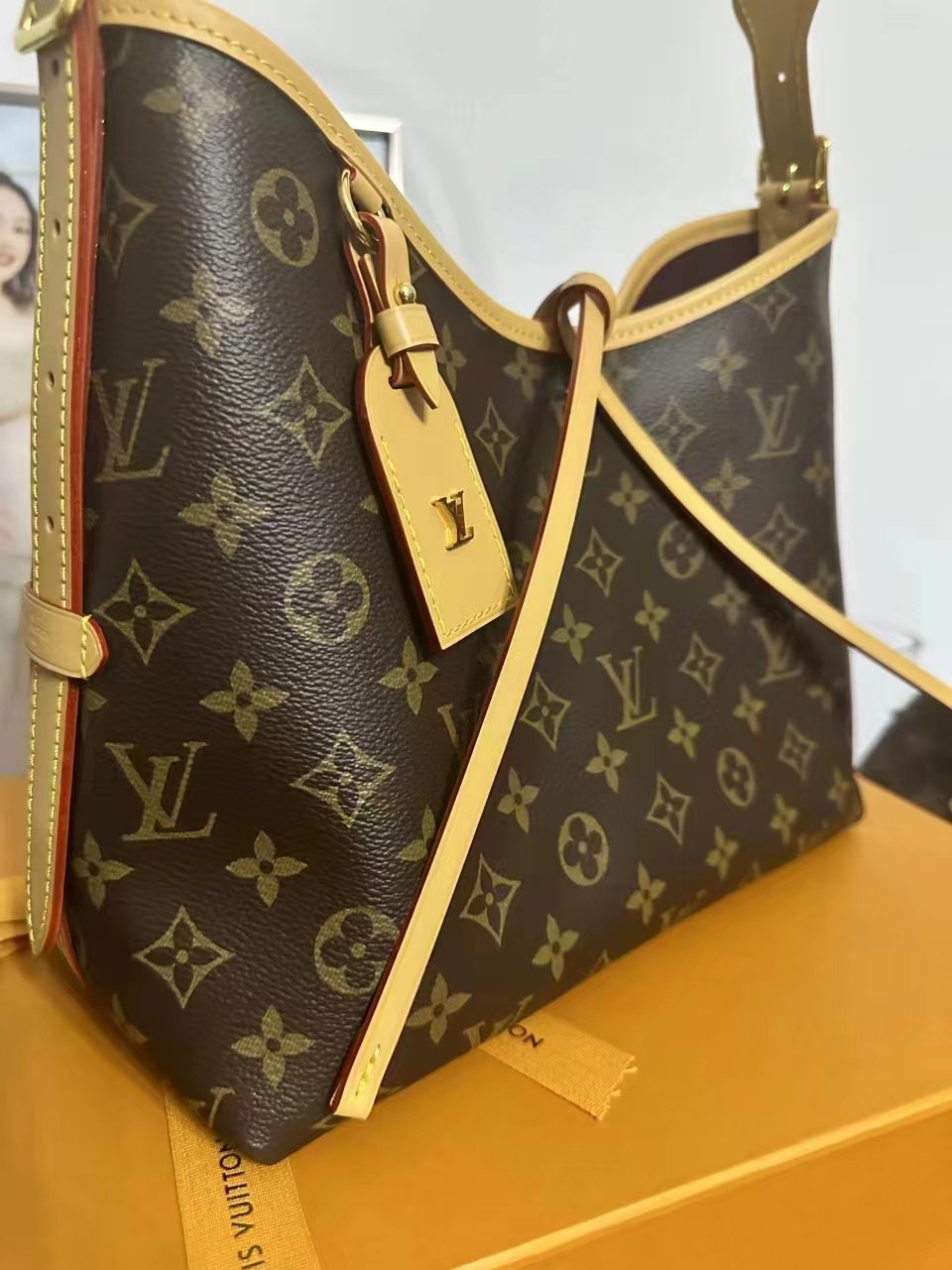 Louis Vuitton CarryAll MM M46197 photo review