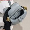 Dior S5685 Micro Saddle Bag With Strap Scarlet Gray Goatskin