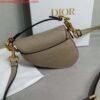 Replica Dior S5685 Micro Saddle Bag With Strap Scarlet Light Gray Goatskin