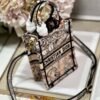 Dior S5555 Mini Dior Book Tote Phone Bag Nude multicolor embroidery S1104