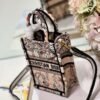 Dior S5555 Mini Dior Book Tote Phone Bag Nude multicolor embroidery S1104