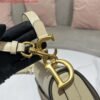 Dior M0455 Saddle Bag With Strap Apricot Grained Calfskin
