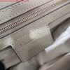 Dior M0455 Saddle Bag With Strap Apricot Grained Calfskin