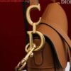 Dior M0455 Saddle Bag With Strap Brown Grained Calfskin