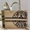 Dior M1286 Large Book Tote Beige jute fabric with Union motif embroidery