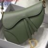 Dior M0446 Saddle Bag Dior Calfskin Bag Green