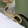 Dior M0446 Saddle Bag Dior Calfskin Bag Green