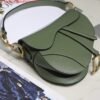 Dior M0446 Saddle Bag Dior Calfskin Bag Green
