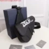 Dior 1ADPO093 Saddle Men Bag Grained Calfskin Black