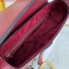 Dior M0446 Dior Saddle Bag M0447 Wine Red Goatskin Gold Hardware