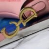 Dior M0446 Dior Saddle Bag M0447 Pink Grained Calfskin