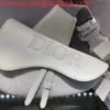 Dior M0446 Saddle Bag Dior Calfskin Bag White