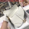 Dior M0446 Dior Saddle Bag M0447 White Grained Calfskin
