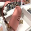 Dior M0446 Dior Saddle Bag M0447 Pink Goatskin