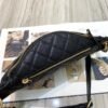 Chanel Quilted Caviar 1:1 Mirror Clafskin 7 Star Waist Bag S0929