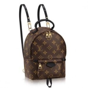 Louis Vuitton Palm Springs PM Backpack Monogram Reverse M43116 BLV021