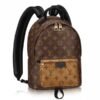 Louis Vuitton Palm Springs PM Backpack Monogram Reverse M43116 BLV021