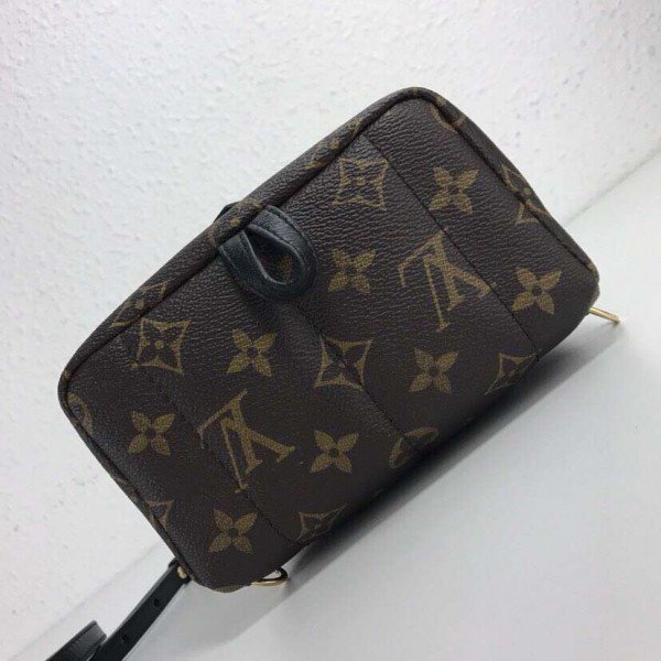 Louis Vuitton Palm Springs Mini Backpack M44367 BLV004