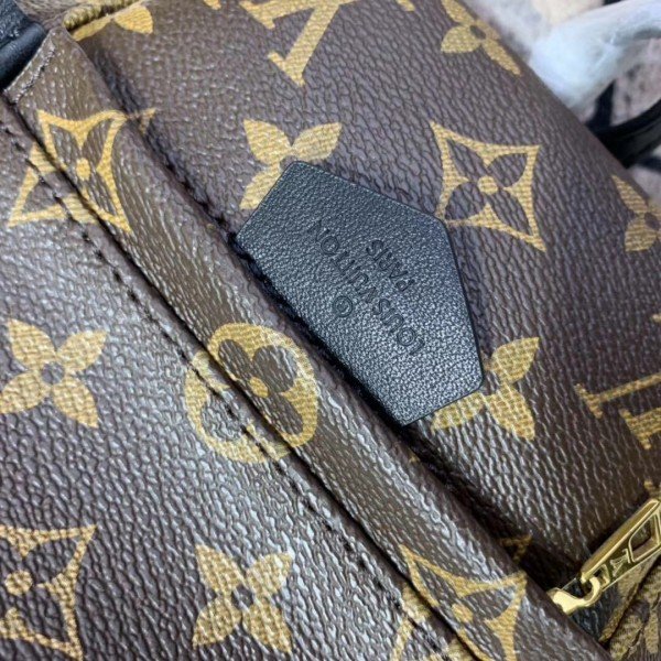 Replica Louis Vuitton Mini Palm Springs Backpack M44873 BLV008
