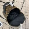 Replica Louis Vuitton Mini Palm Springs Backpack M44873 BLV008