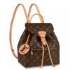 Louis Vuitton Montsouris PM Backpack Monogram M45501 BLV013