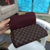 Louis Vuitton Favorite MM Bag Damier Ebene N41129 BLV117