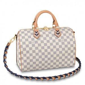 Replica Louis Vuitton Delightful MM Bag Damier Azur N41607 BLV066