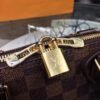 Louis Vuitton Alma PM Bag Damier Ebene N53151 BLV126