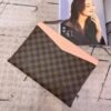 Replica Louis Vuitton Daily Pouch Damier Ebene N60261 BLV099