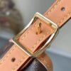 Louis Vuitton CarryAll MM M46197