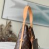 Louis Vuitton CarryAll MM M46197