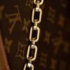 Louis Vuitton Dauphine MM M45958