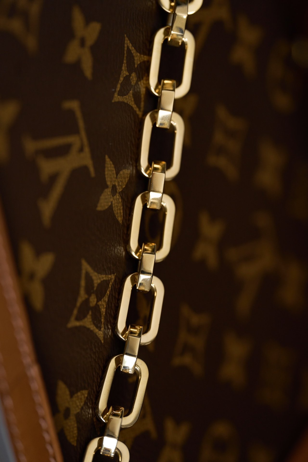 Louis Vuitton Dauphine MM M45958