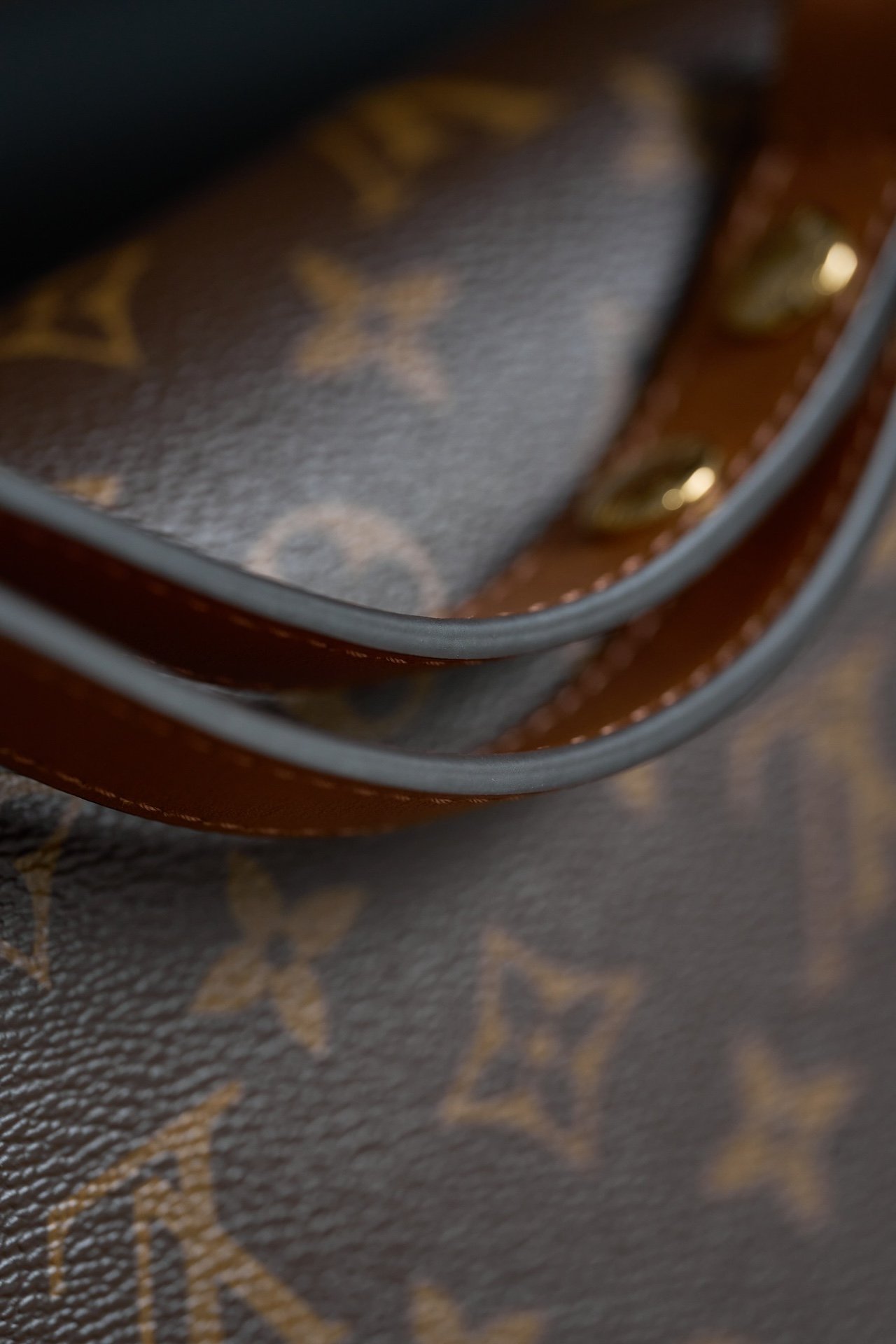Louis Vuitton Dauphine MM M45958