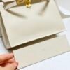 Mirror Top Hermes Kelly Danse 22cm of Evercolor Bag White